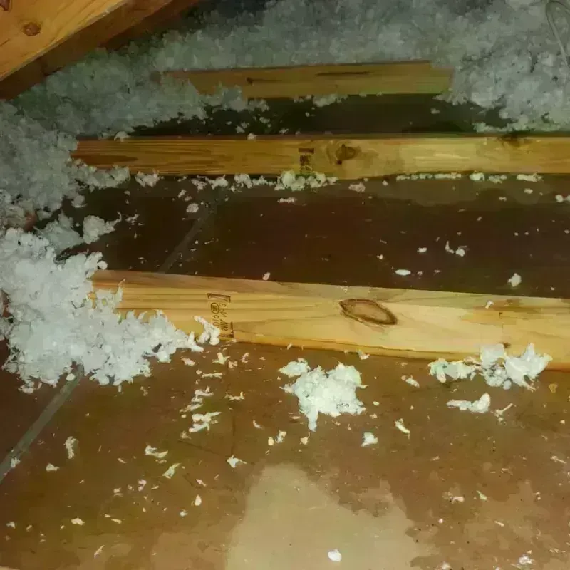 Attic Water Damage in Barton County, KS