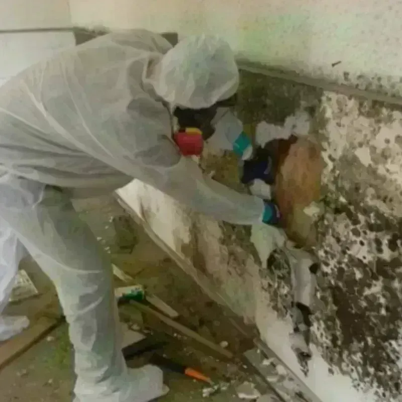 Mold Remediation and Removal in Barton County, KS