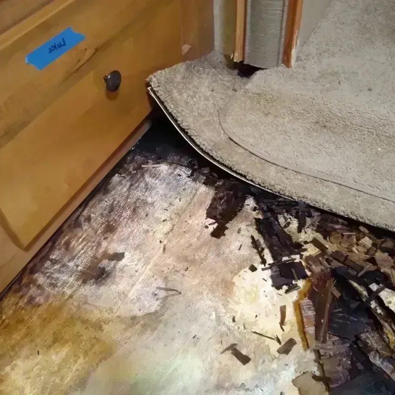 Wood Floor Water Damage in Barton County, KS